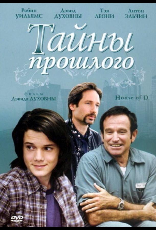 Фильм Тайны прошлого 2004 года смотреть онлайн с Робином Уильямсом и Антоном Ельчиным